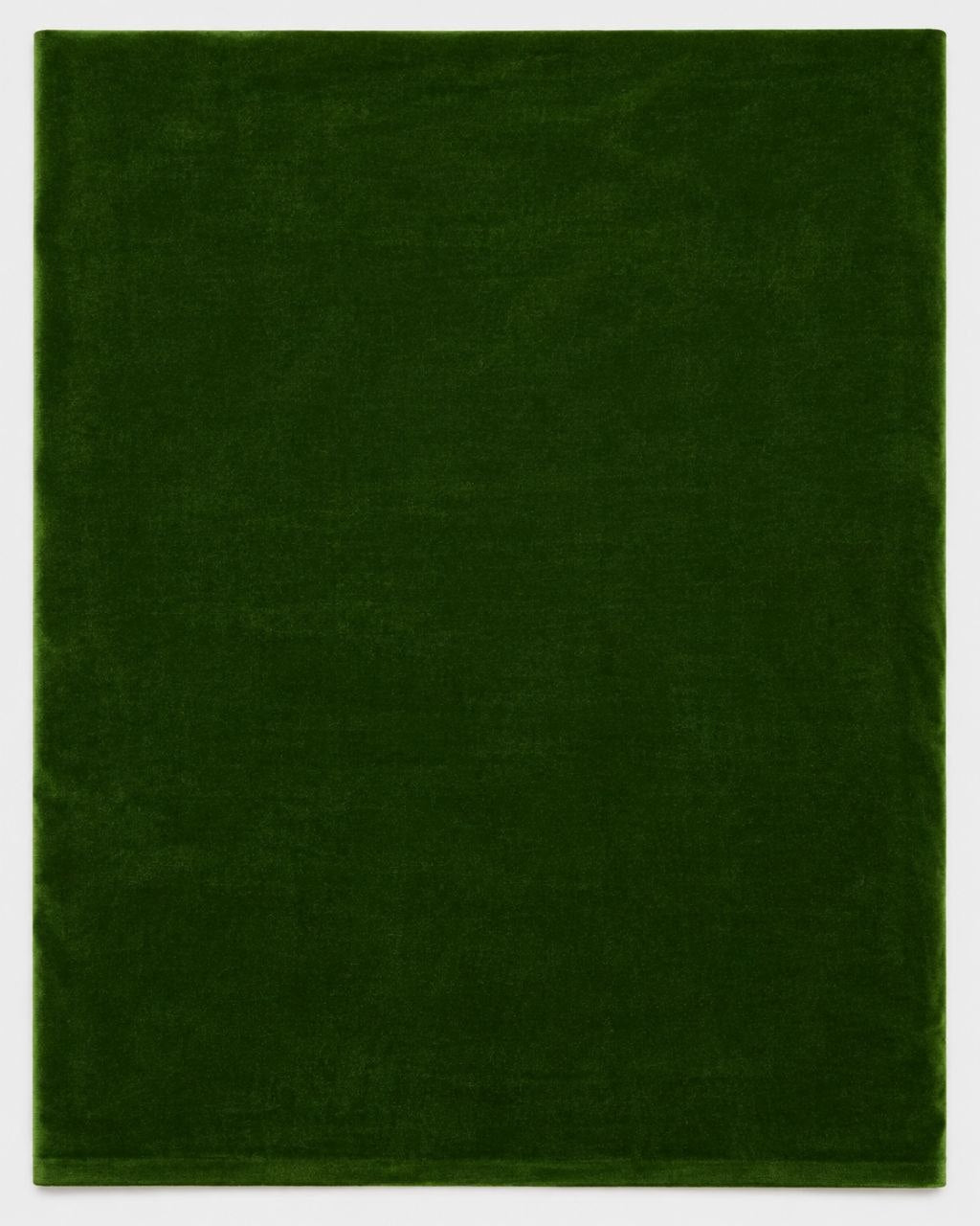 GRØNT MICRO VELOUR STOF (billede 1 af 3)