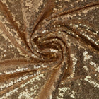 CHAMPAGNE PAILLETSTOF